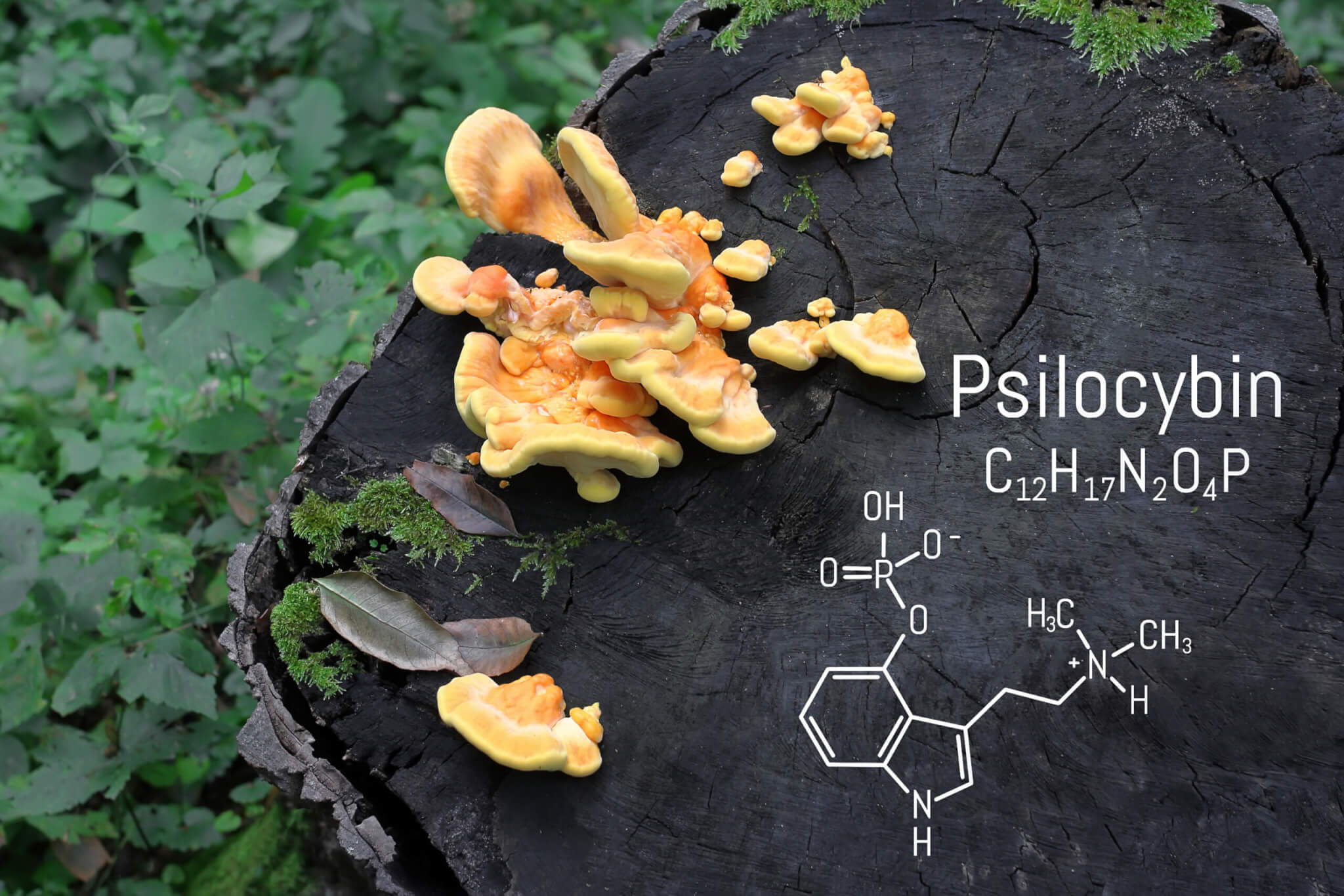 Chemical formula of psilocybin found in magic mushrooms