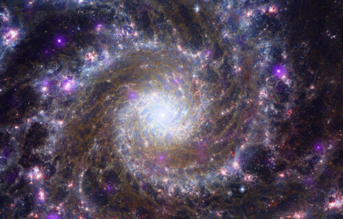 James Webb Space Telescope images shows the heart of M74, otherwise known as the Phantom Galaxy.