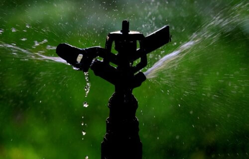 Best Lawn Sprinklers: Top 7 Devices Most Recommended By Experts - Study  Finds