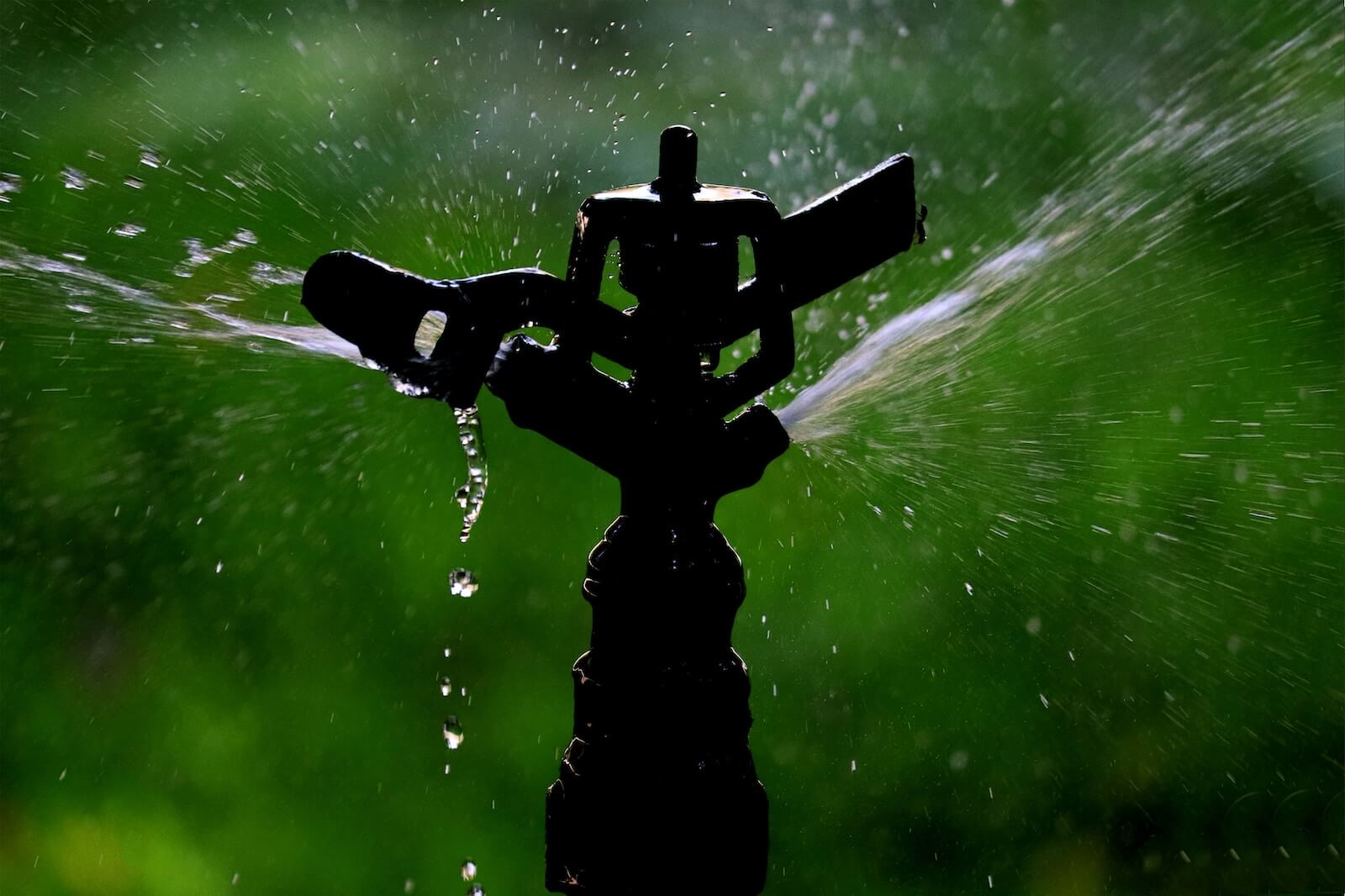 Best Sprinkler Heads For Better Water Coverage In 2024