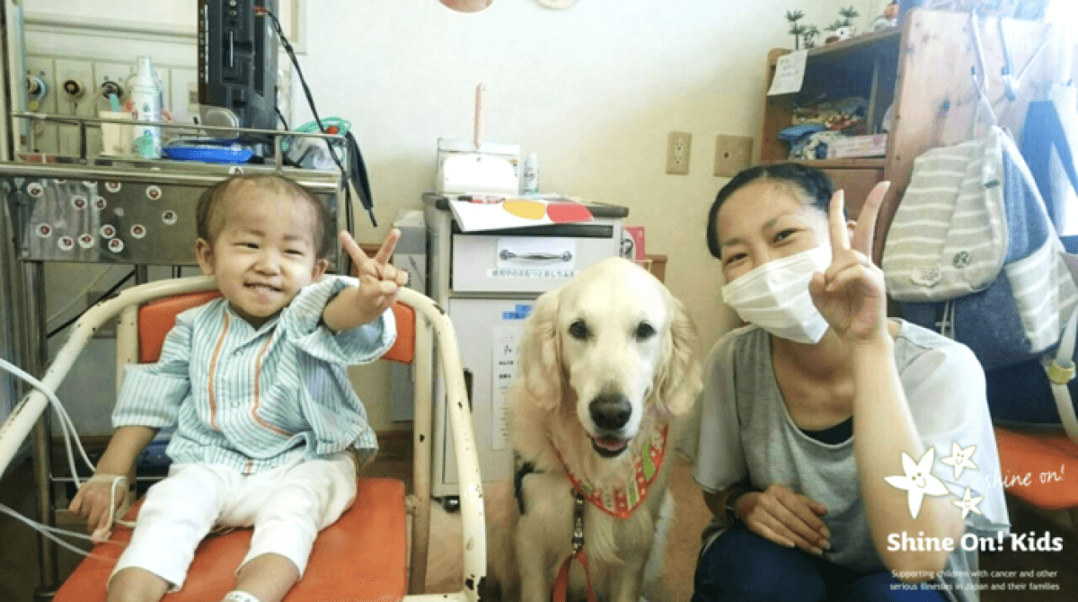 Photo of a support dog with an infant in the hospital