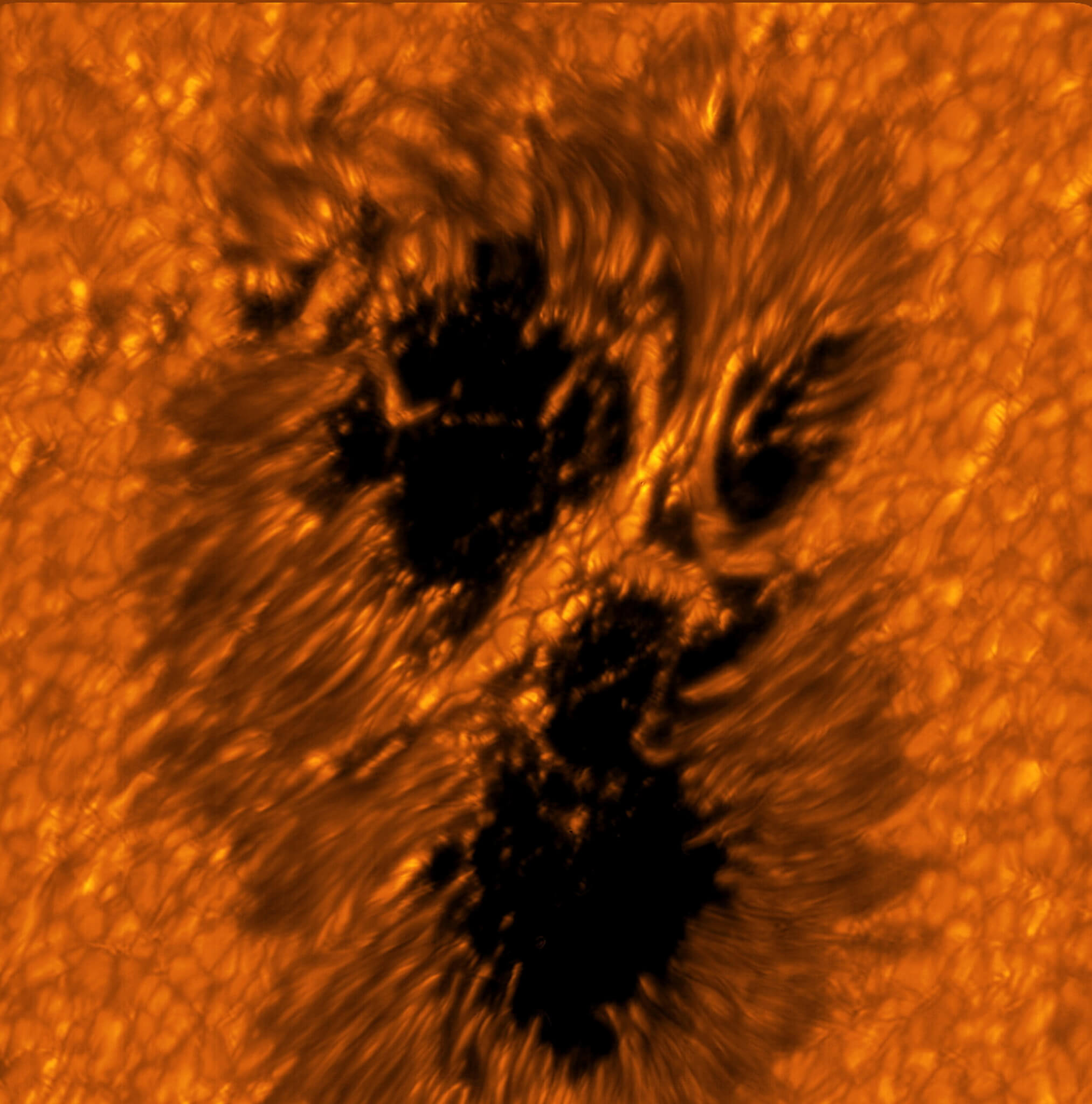 A light bridge is seen crossing a sunspot’s umbra from one end of the penumbra to the other