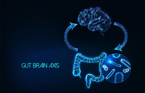 Futuristic gut brain axis