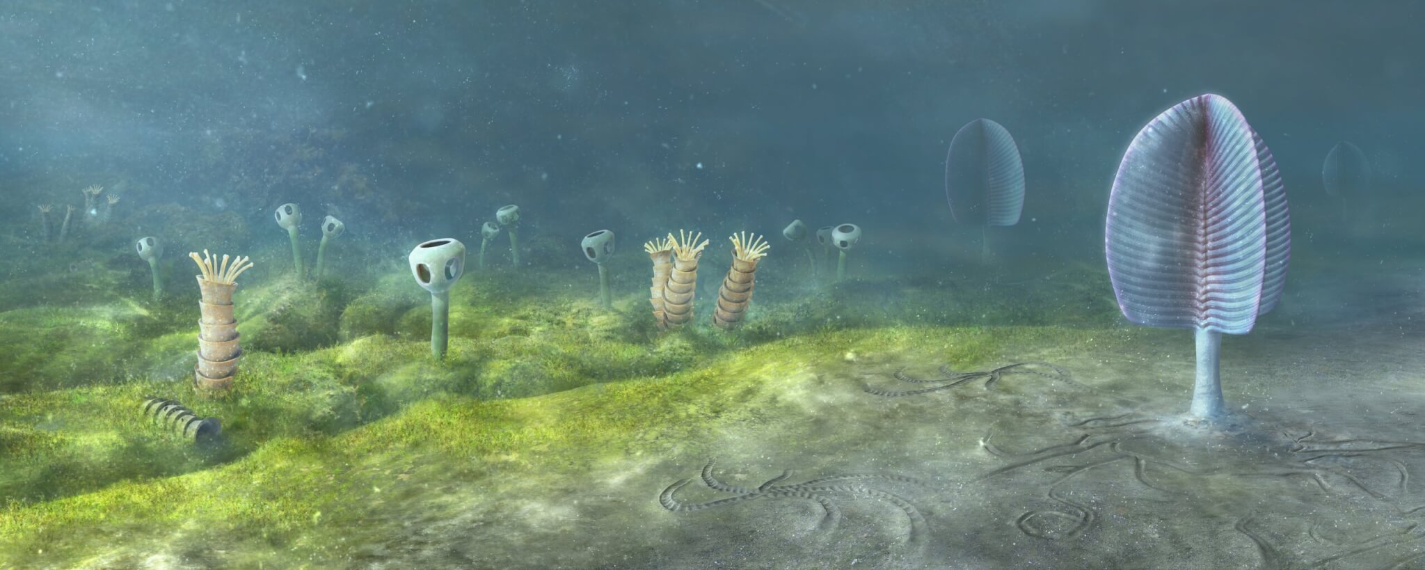 Reconstruction of the Ediacaran seafloor from the Nama Group, 