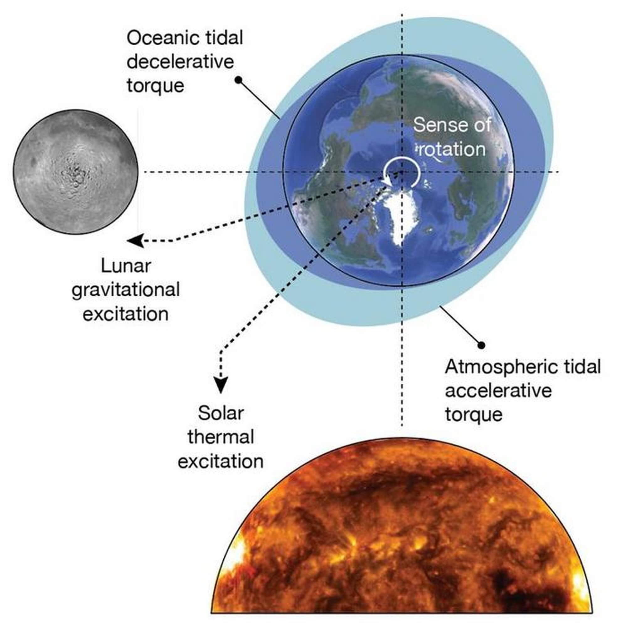 Illustration of Earth's opposing tides from the pull of the Moon and the push of the sun