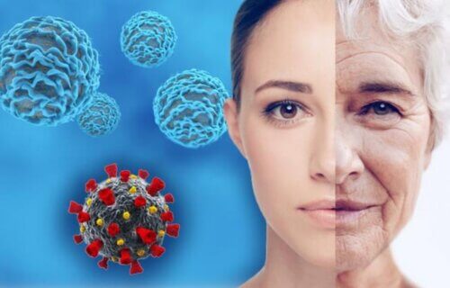 Woman aging and immune cells