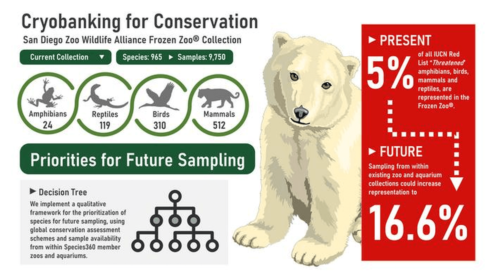 Graphic showing how cryobanking can help conservation