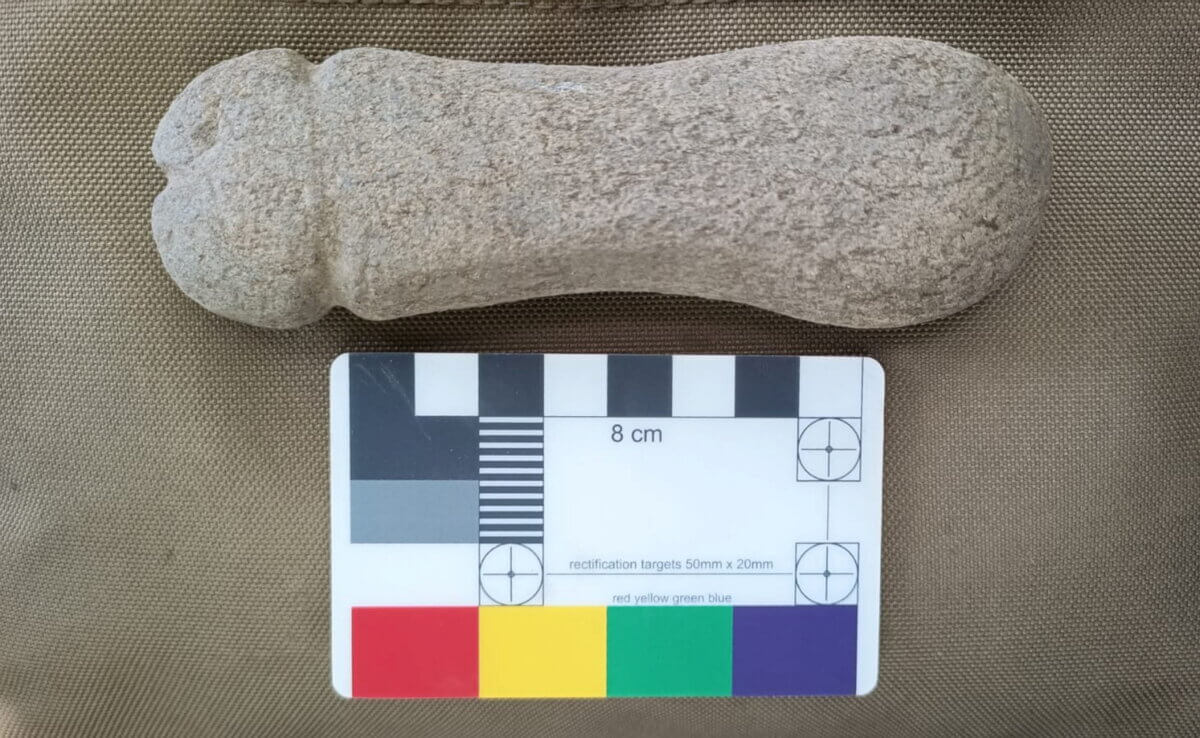 Ancient stone penis tool next to a measuring card