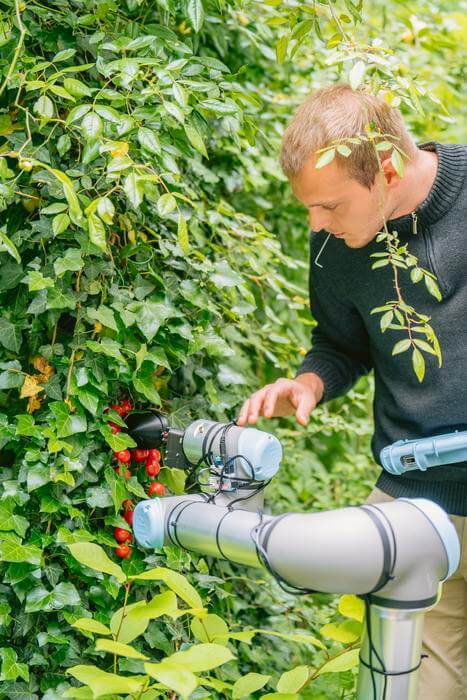 Crop-picking robot created by AI
