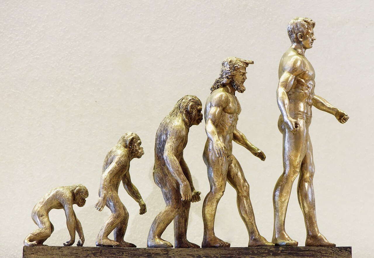 Statues of evolution development from ape to man
