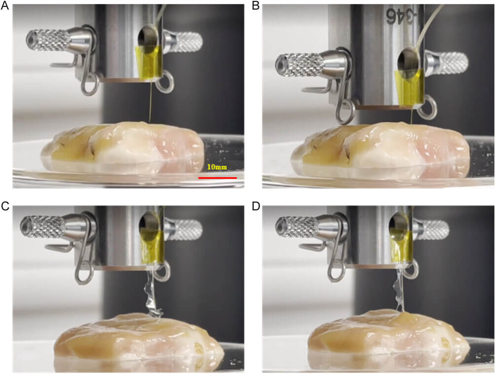 four images of a silver device inserting probe into a yellow lamb brain