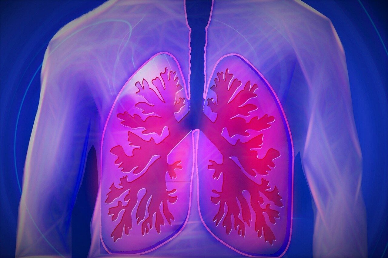 Picture of body with lungs