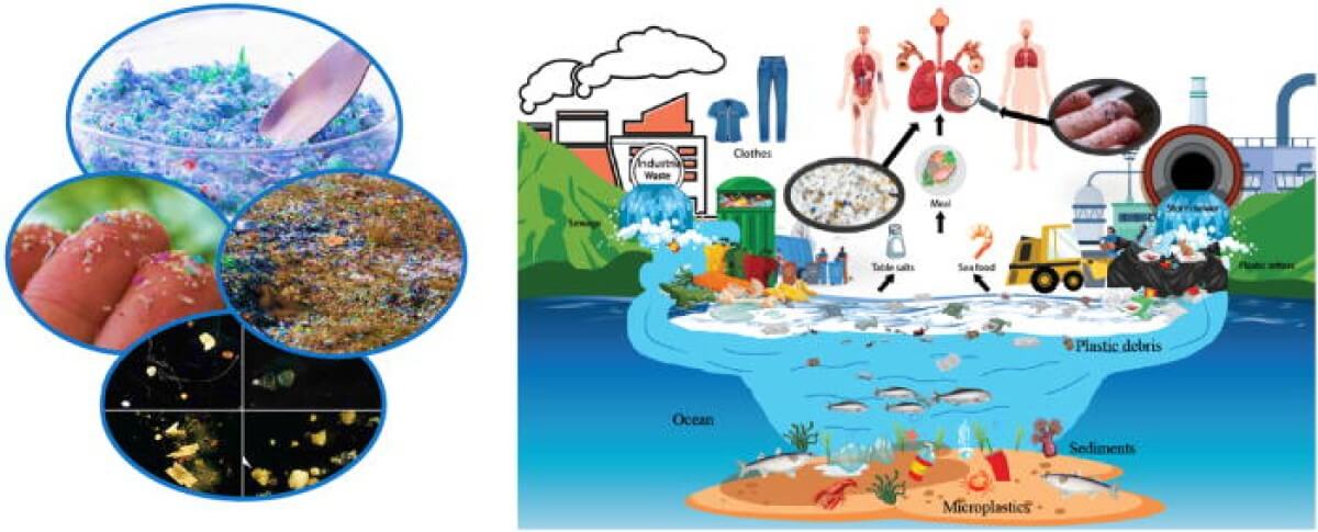 diagram of the cycle of plastic pollution 