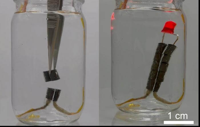 imagem de dois frascos de vidro cheios de líquido claro e pequenos imãs pretos