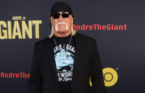 Hulk Hogan at the "Andre The Giant" HBO Premiere in 2018