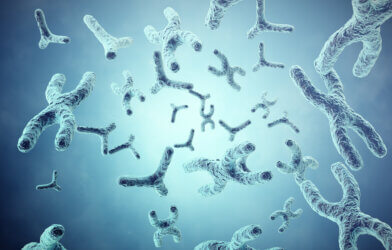 Xy-chromosomes