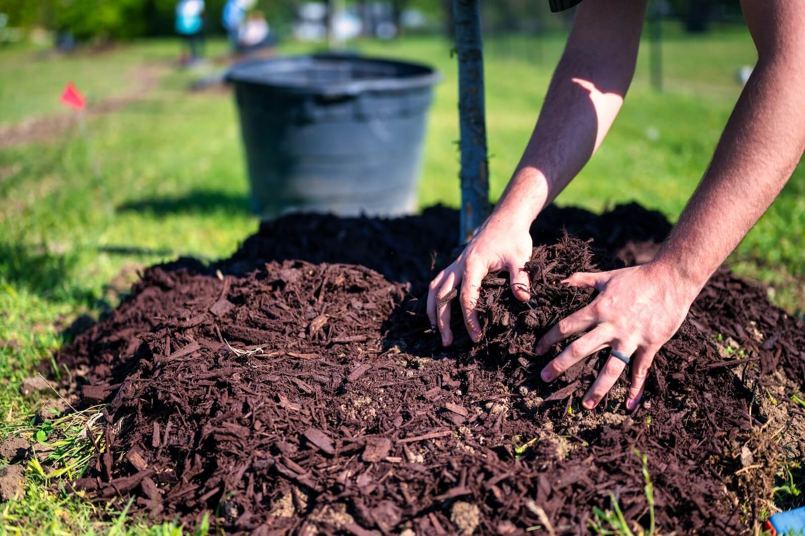 Are Wood Chips Good For Compost (The Benefits) - Artsy Pretty Plants