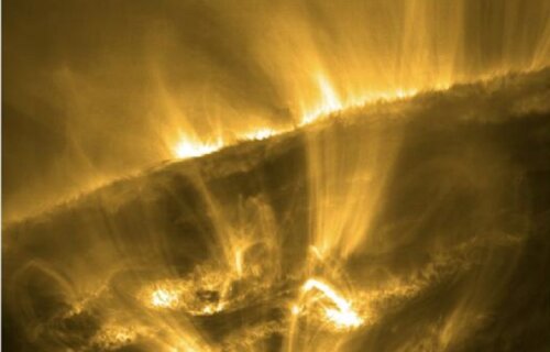 image of a shooting star on the sun loks like yellow rays coming out of a dark plant