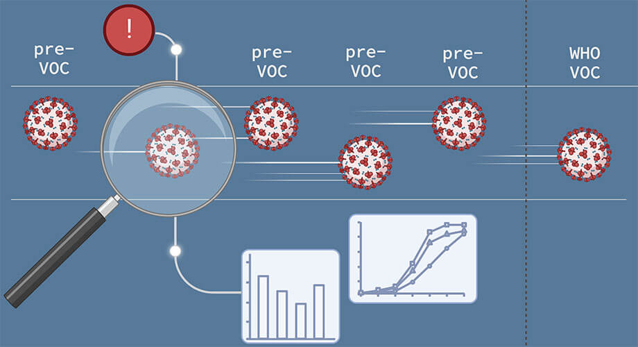 A new Scripps Research machine-learning system tracks how epidemic viruses evolve. This technology could have predicted the emergence of SARS-CoV-2 “variants of concern” (VOCs) ahead of their official designations by the World Health Organization (WHO).