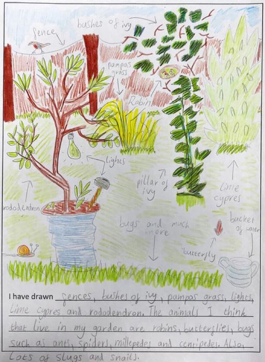 child's drawing of a garden with green plants sprouting from the ground and red fence in the background
