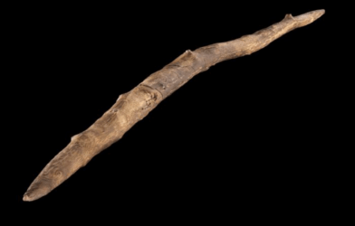 double-pointed throwing stick
