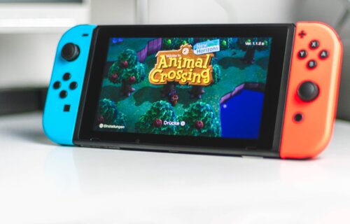 "Animal Crossing" on a Nintendo Switch