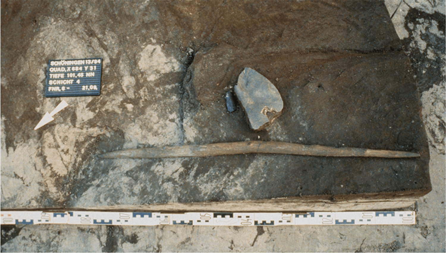 Excavation photograph of the double-pointed stick. 