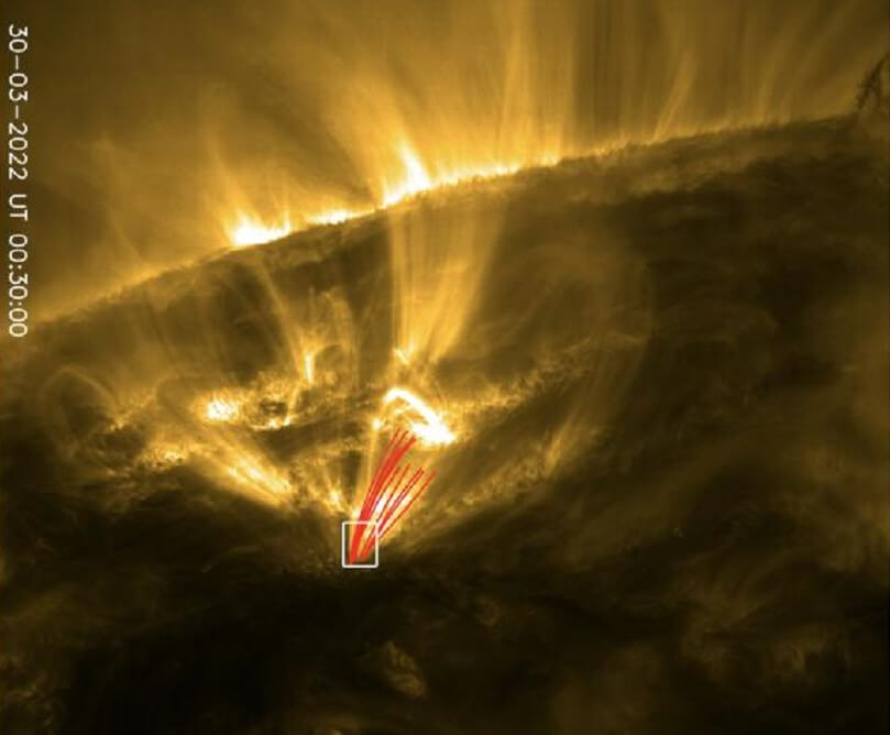 image of a shooting star on the sun looks like yellow rays coming out of a dark plant