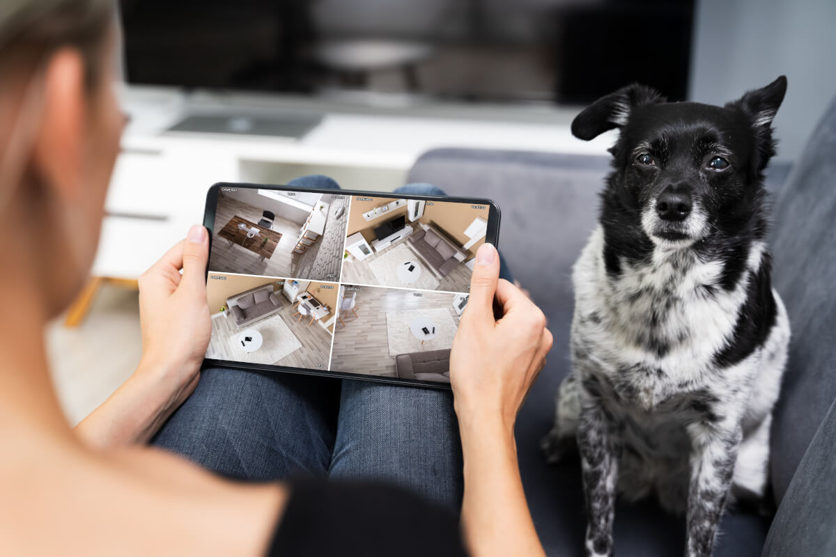 Furbo - Caméra 360° pour chien - Caméra HD pour animaux de compagnie