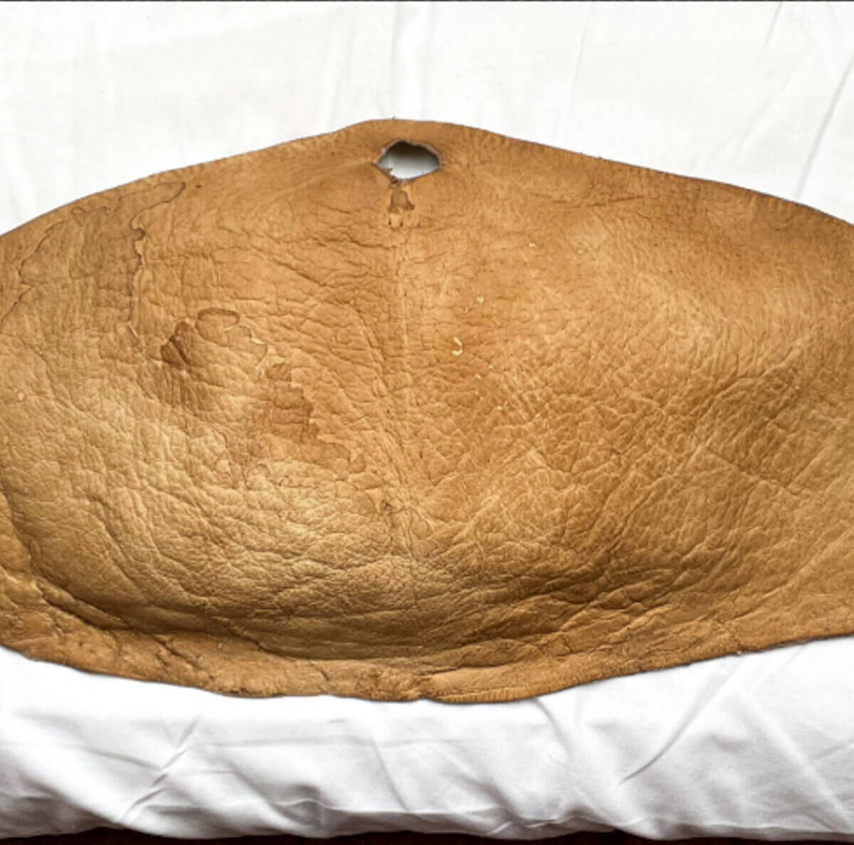 Skin from Katie Taylor's abdomen, after being turned to leather.