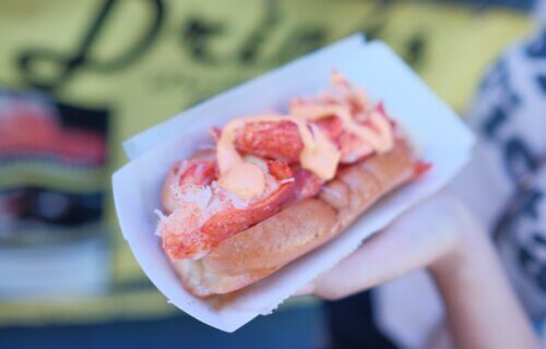 Maine lobster roll