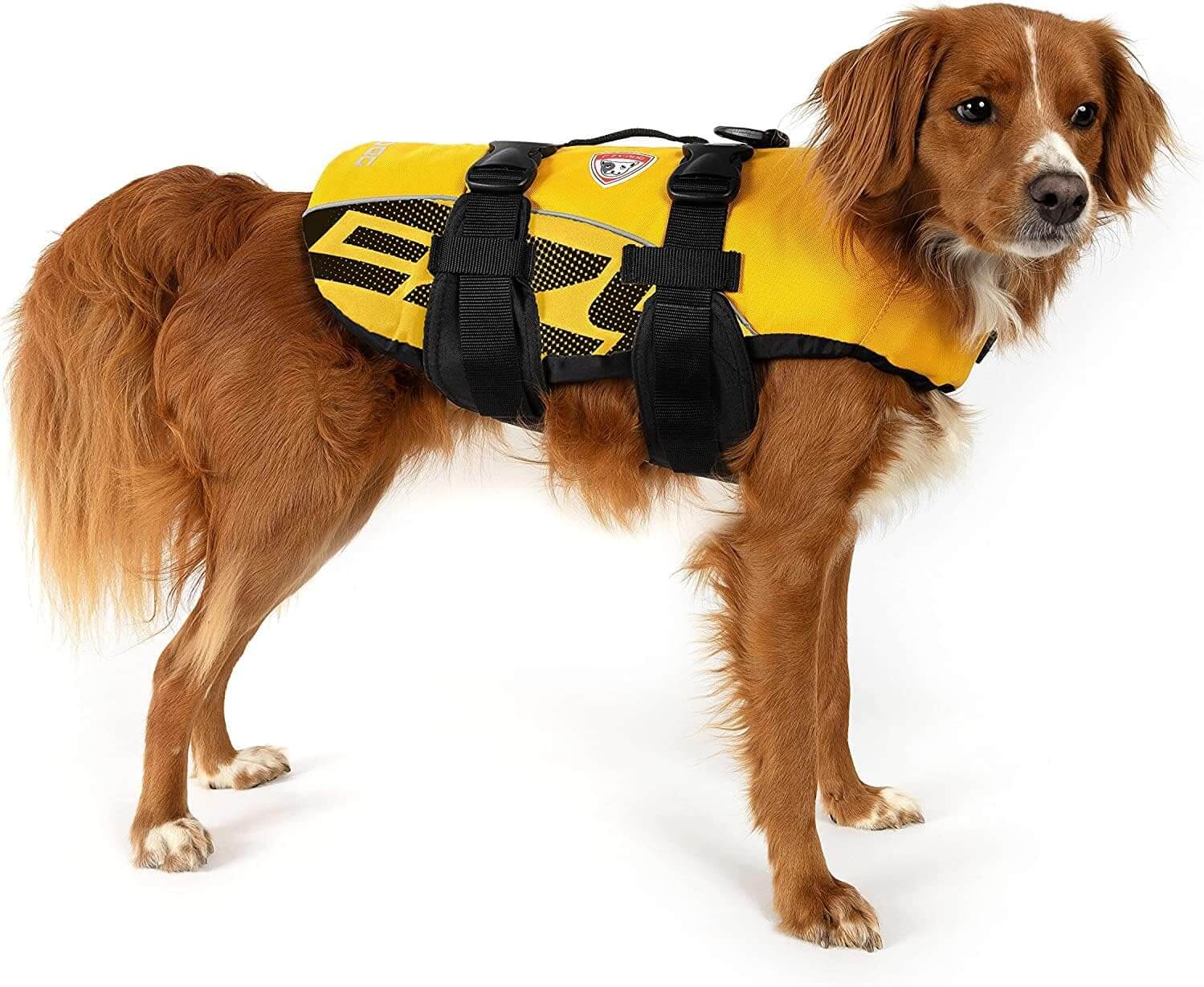 EzyDog Premium Doggy Flotation Device 