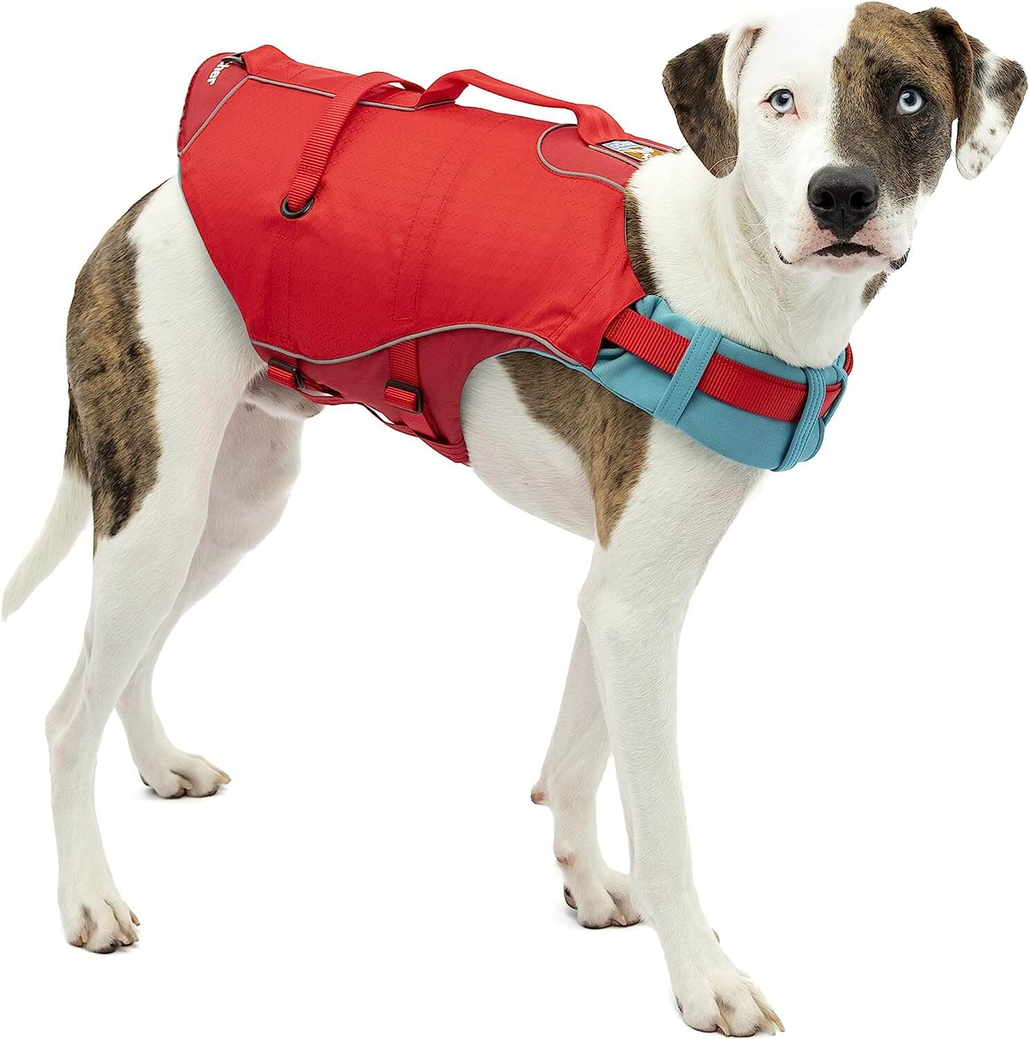 Kurgo Medium Surf n’ Turf Dog Life Jacket