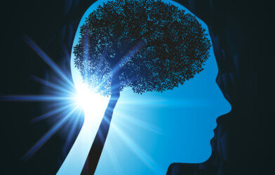 silhouette of a human head with a tree as the brain