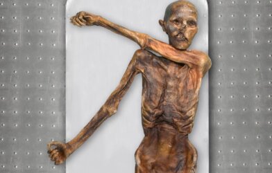 Ötzi, a dark skin, bald headed, Icman of Anatolian ancestry