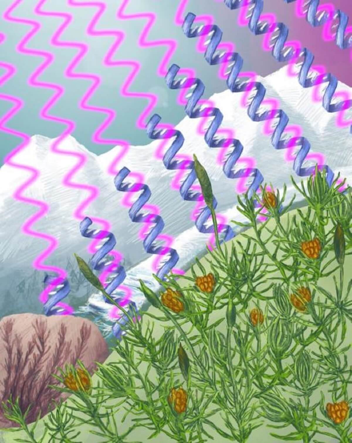 Illustration of UV rays ( purple) impacting Takakia (green moss)