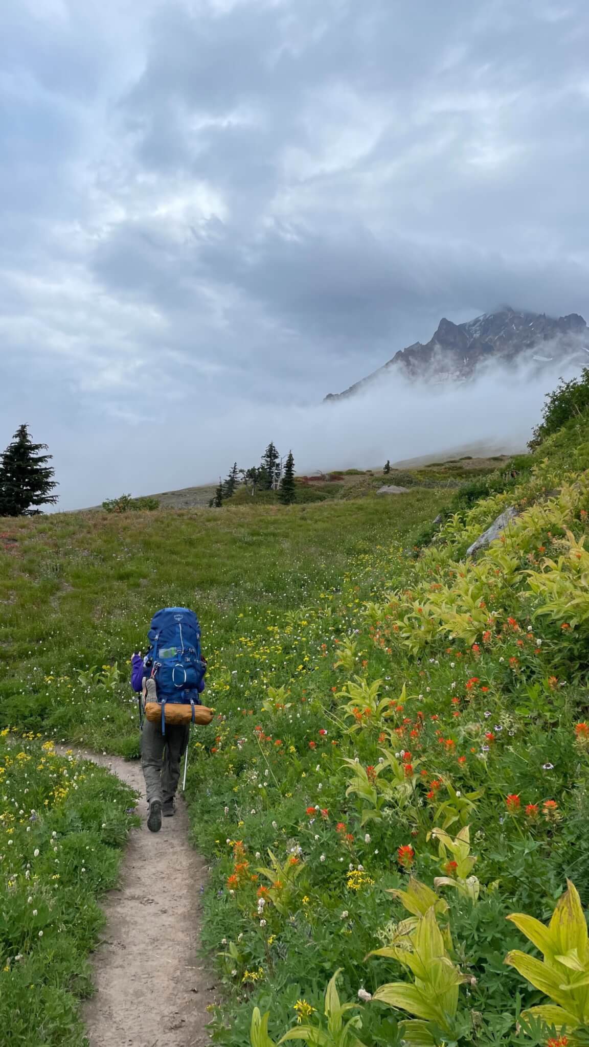 Someone backpacking in Mount Hood, Oregon