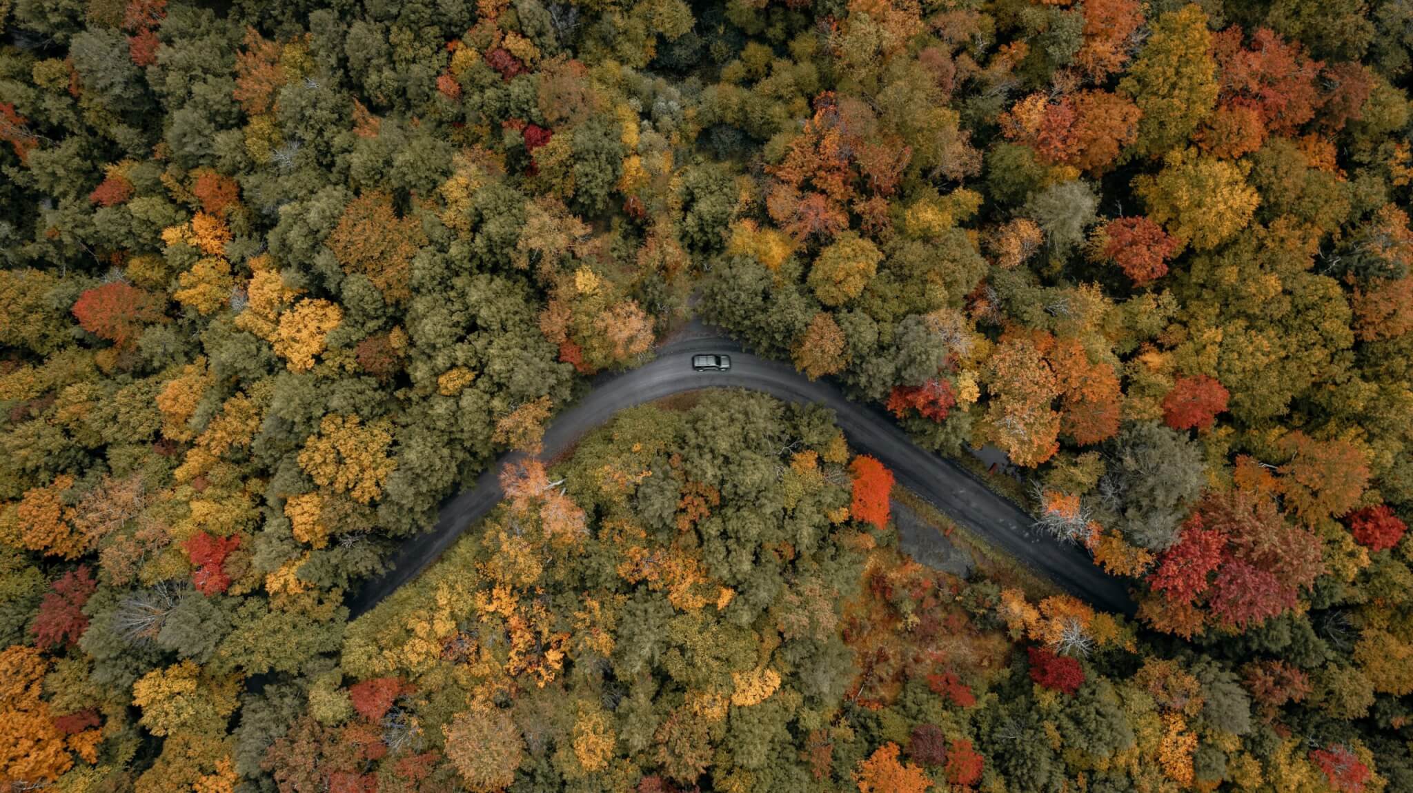 A car driving through the Catskill Mountains in the fall 