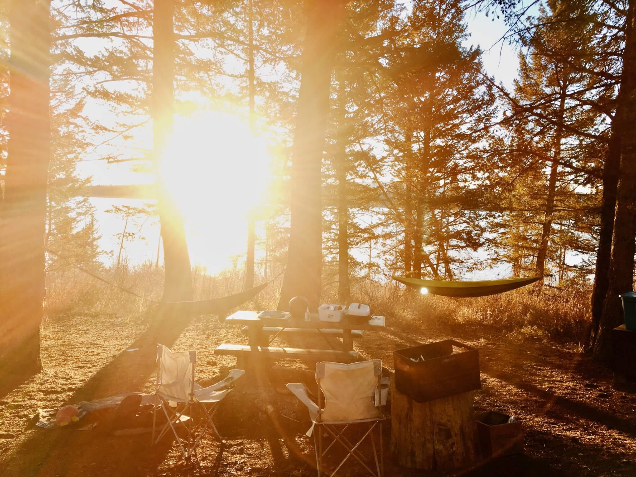 A campsite in Grand Teton National Park 