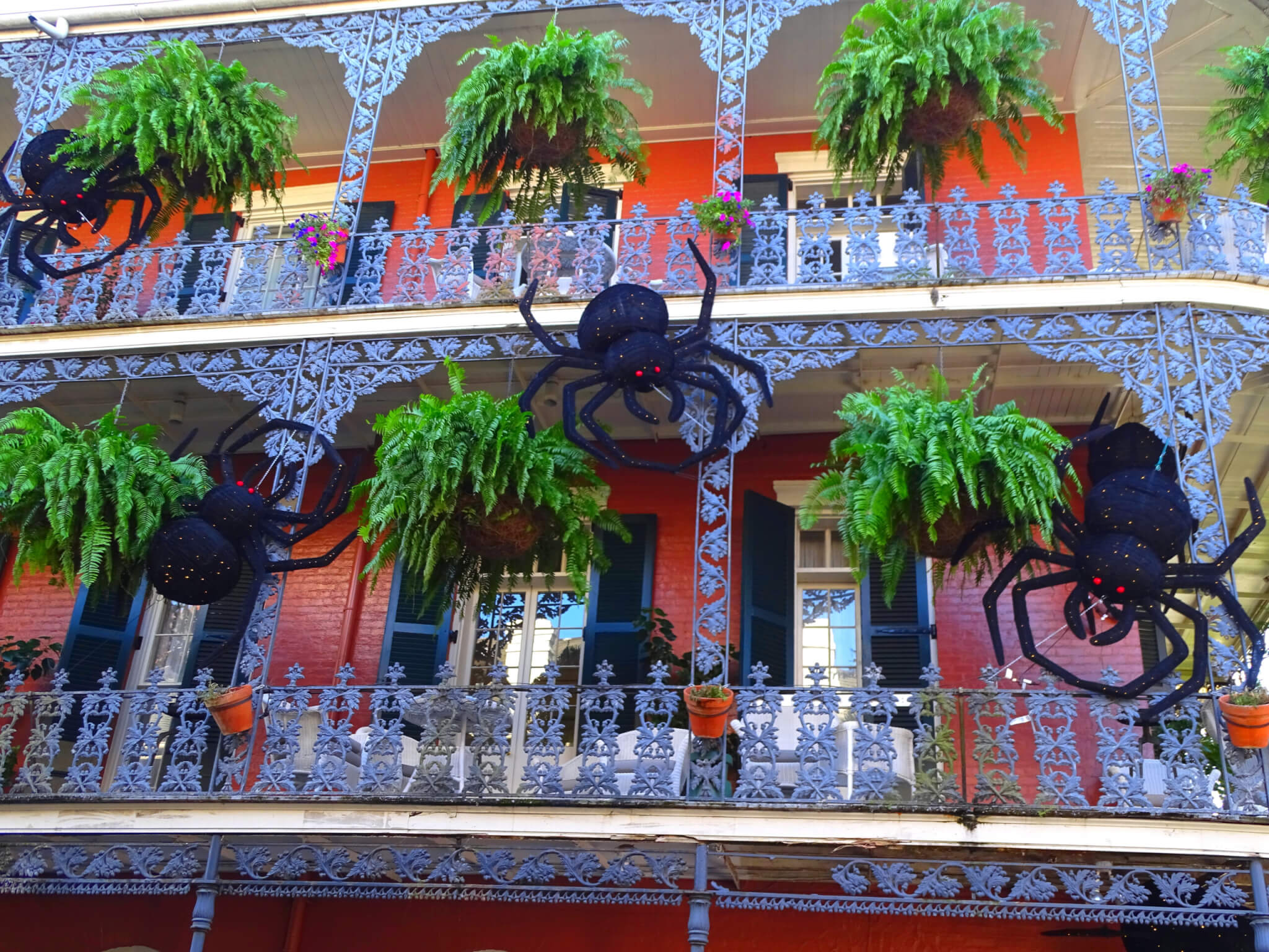 New Orleans decorated for Halloween