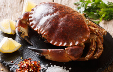 Raw brown crab with lemon, parsley and spices