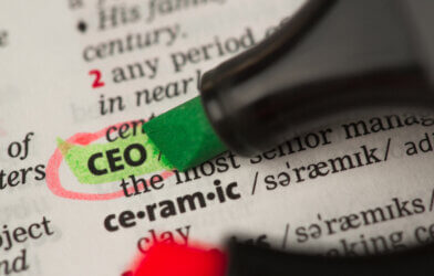 CEO definition in the dictionary