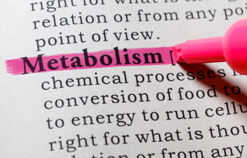 Definition of metabolism