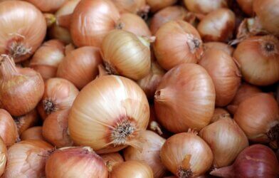 onions on a table
