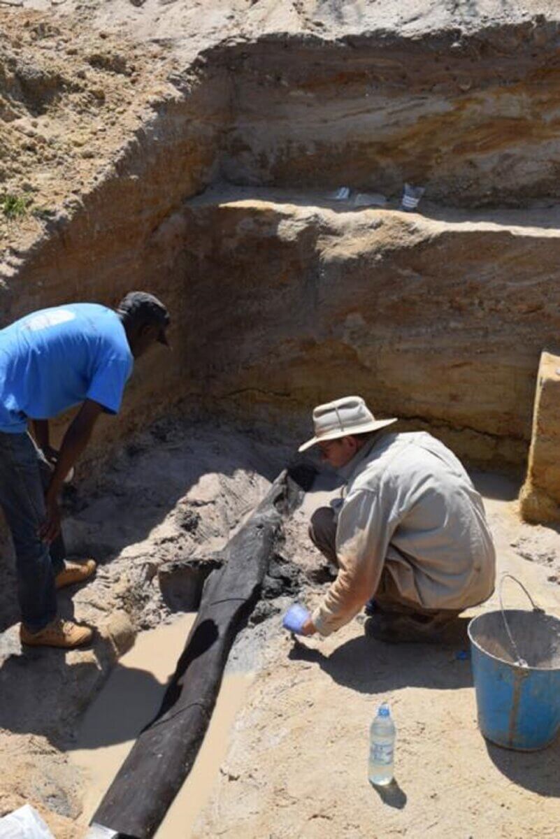 two researchers at excavation site in Zambia looking at long black wooden structure on the ground.