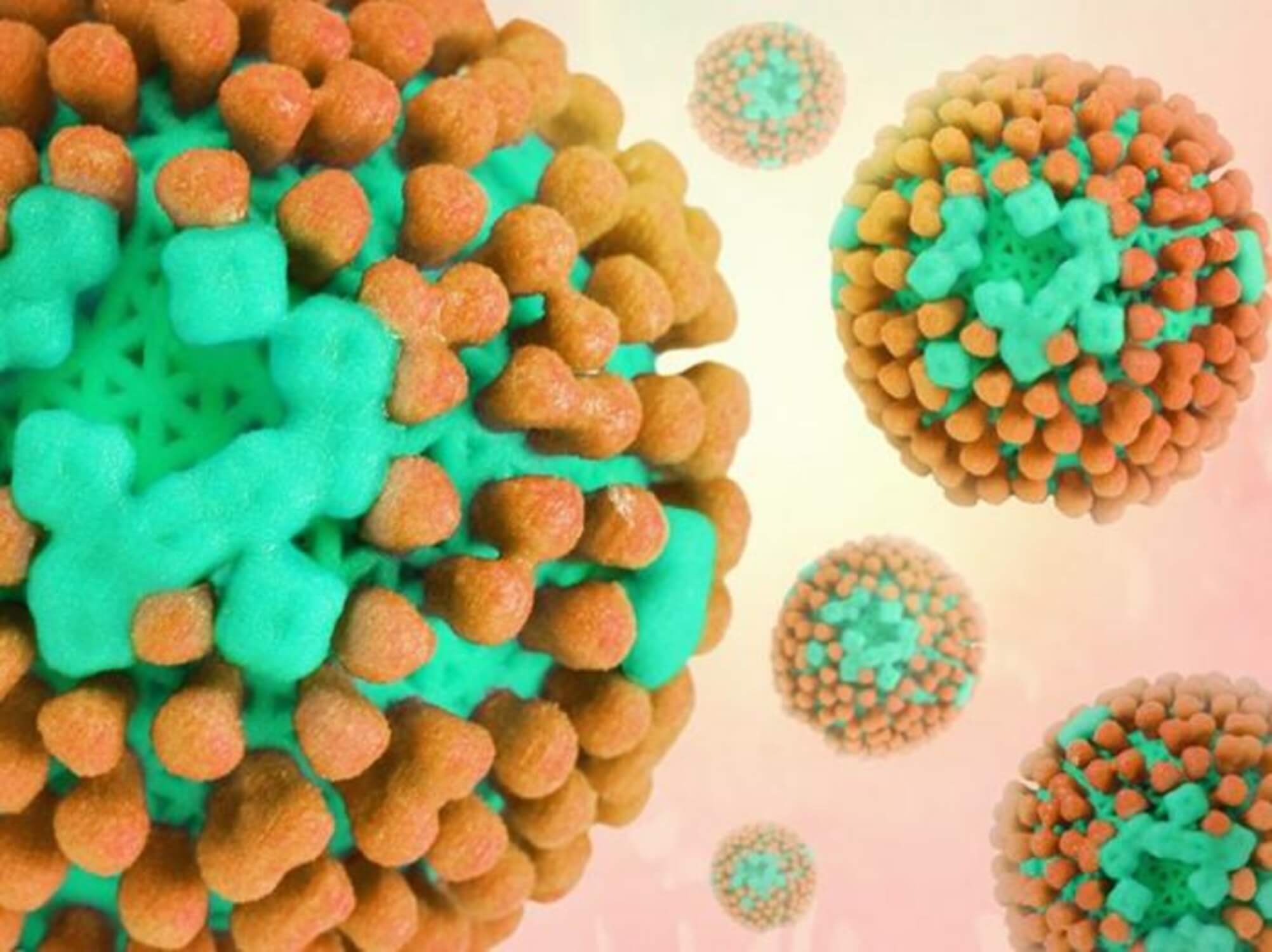 "Influenza Virus" by NIAID.