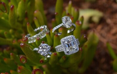 a couple of diamond rings sitting on top of a plant