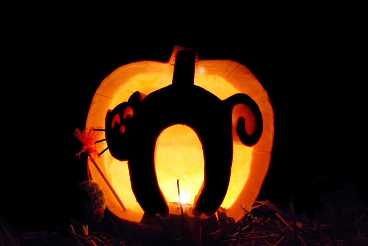 Best Pumpkin Carving Designs: Top 5 Jack-o'-Lanterns, According to ...