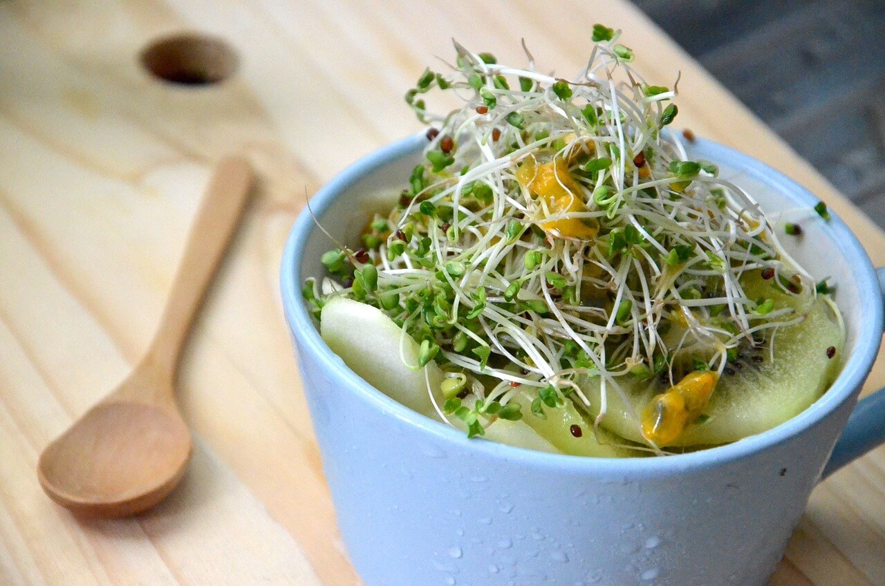 broccoli sprouts in a soup