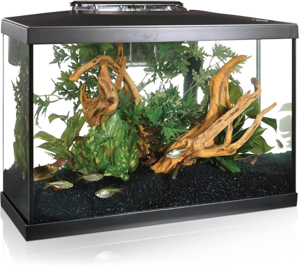 Marina 20G LED Aquarium Kit